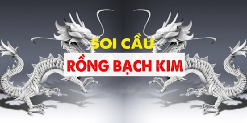 soi cau rong bach kim