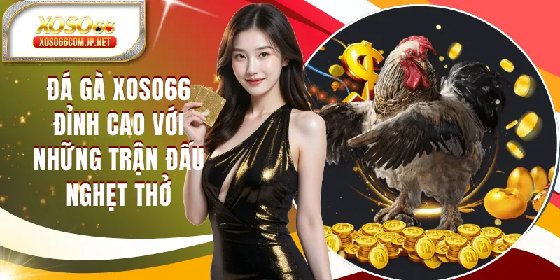 Đá Gà XOSO66 Đỉnh Cao Với Những Trận Đấu Nghẹt Thở