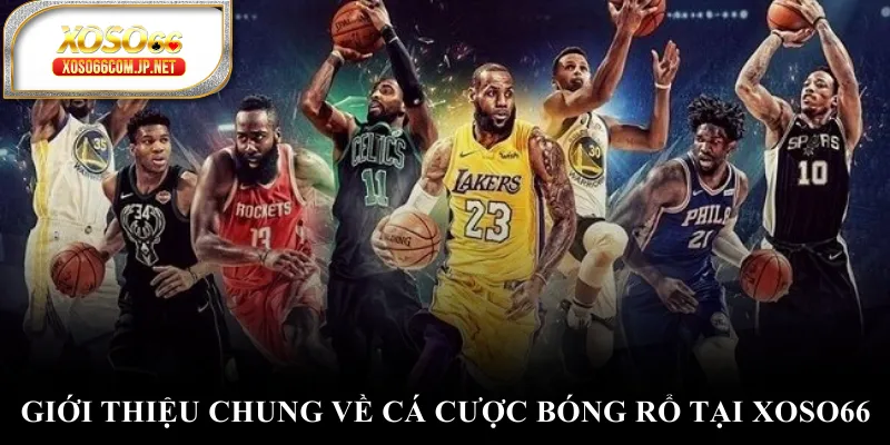 Giới thiệu chung về cá cược bóng rổ tại XOSO66 Giới thiệu chung về cá cược bóng rổ tại XOSO66