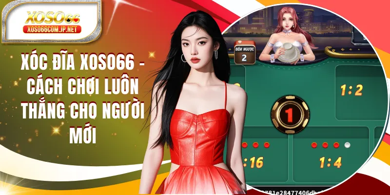 Xóc Đĩa XOSO66 Và Bộ Nguyên Tắc Vàng Chơi Luôn Thắng